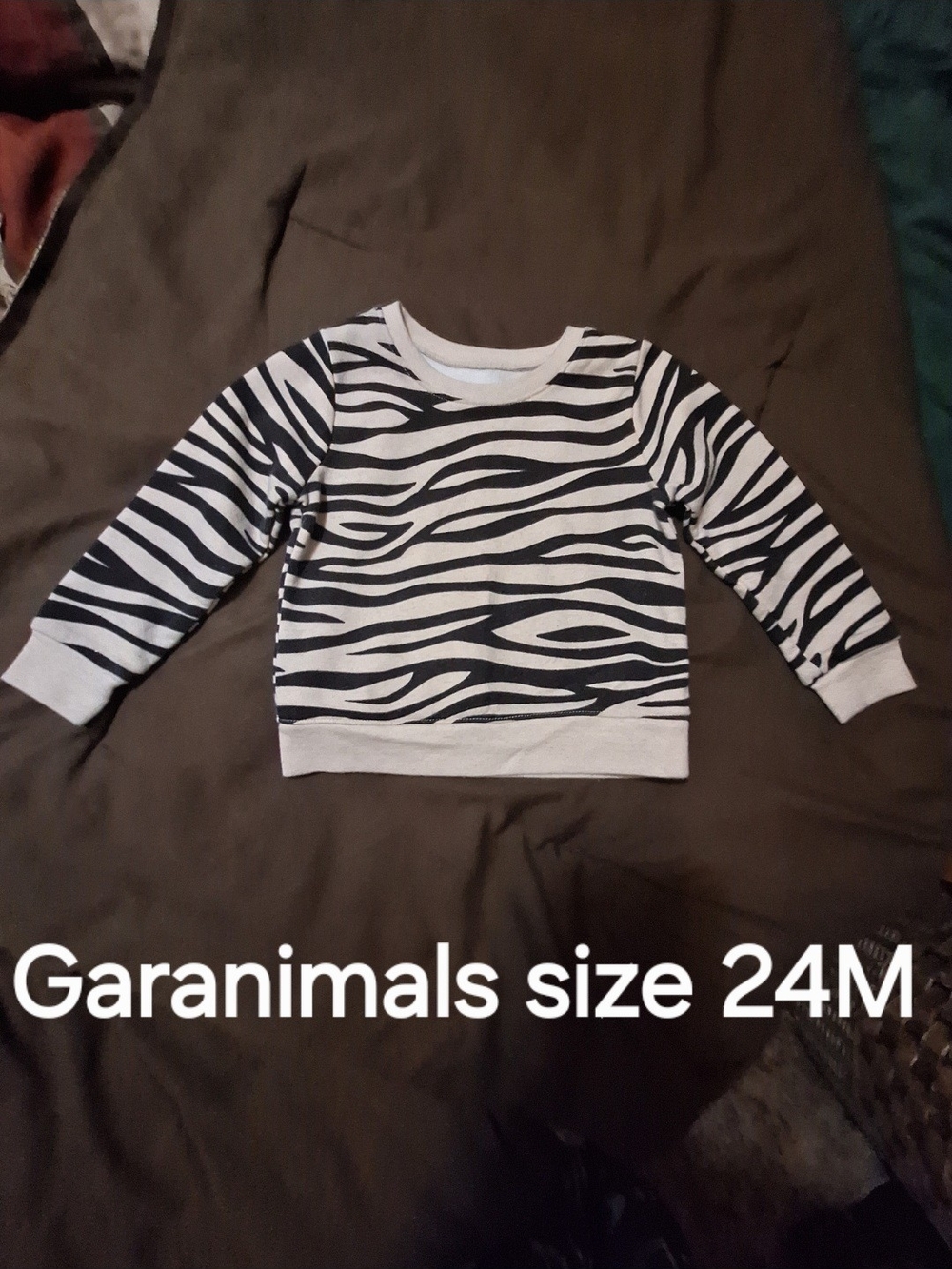 Garanimals Black & Tan Zebra-Stripe Pullover